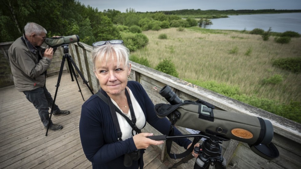 "Man vill ju komma upp i 300 arter i Sverige. Det är ett steg i fågelskådandet för många, inte för alla", säger Anette Barr, naturpedagog.