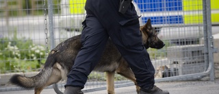 Väcktes av polishund – dömd till fängelse