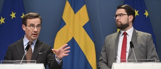 Åkesson kritiserar Kristersson: Finns en gräns