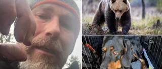 Johan attackerades av björn – räddades av hunden: "Den stora hjälten" • Varning för starka bilder