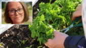 Uppmaningen till Trosabor – odla er egen mat: "Handlar om beredskap" ✓Kan bryta isolering ✓Coacher sökes