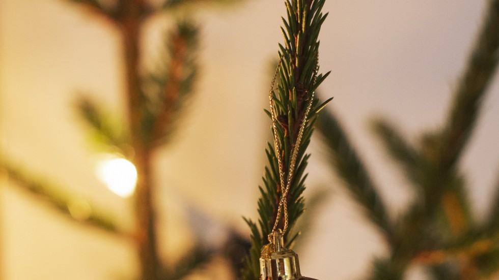 Röda julgranskulor är en tradition med rötter i Tyskland.