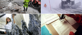 Bergsprängning, snöröjning och städ • Här är veckans nystartade företag i Skellefteå