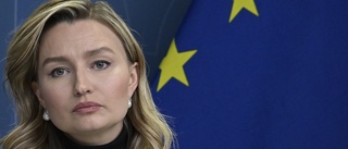 Regeringen vill hemlighålla vem som får mest elstöd – får skarp kritik: "Hörnsten i svensk demokrati"