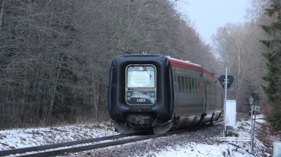 Tåget körde på en grov asp som ramlat över spåret. Det blev en kraftig smäll och främre boggien på rälsbussen hoppade av spåret. Ungefär 400 slipers beräknas ha skadats och behöver bytas.