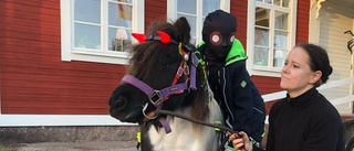 Udda halloweensällskapet – hade häst med sig när de frågade grannar om "bus eller godis"
