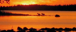 Norrbotten har mest skyddad natur i Sverige