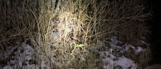 Polis upptäckte misstänkt i Vadstena – i ett buskage