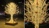 Nya trädet på torget kärleksbombas: "Eskilstuna levererar"