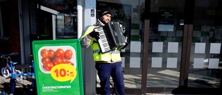 Därför kommer de till Norrbotten