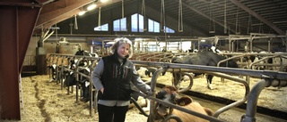 Hon är en av årets landsbygdskvinnor på Gotland • ”Framför allt är det roligt att driva företag”