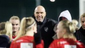IFK-managern på scoutingresa i Australien: "Kommer krävas landslagsspelare"