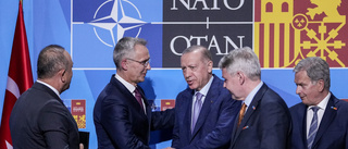 Nästan i Nato – detta fattas för Finland