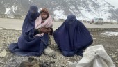 Kraftigt höjt dödstal i afghansk köldknäpp