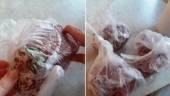 Köttslarv på förskola – hade omärkt färs i plastpåsar