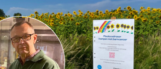 Plocka solrosor i kampen mot barncancer – vid Gatstuberg: "Många som passerar där"