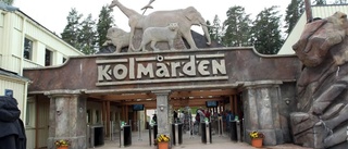 10 000 fler har besökt Kolmårdens djurpark