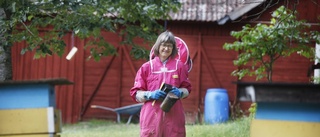 Hanne Uddling surrar om bin i ny podd