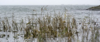 Ta bort skatten  – och rädda Östersjön