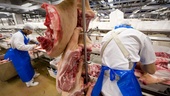 Jordbruksverkets uppdrag ska inte innefatta skolbarnsreklam för svenskt kött