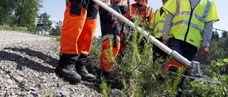 Nu ska nya järnvägsspåren säkras från fallande träd
