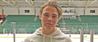 LHC-målvakt till Nyköping Gripen