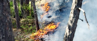 Räddningstjänsten rustar för skogsbränder – tar hjälp av frivilliga