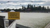 Ny arena ska byggas på Backavallen