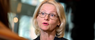 Svenska EU-politiker ska inte mörka skattepengar