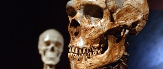 Neandertalarnas hjärna var annorlunda