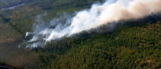 Räddningstjänsten: Betydligt fler skogsbränder i år