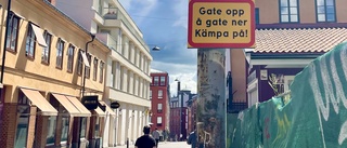 Gatuskyltar ska vara på rikssvenska – inte på östgötska