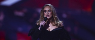 Adele stoppade show för att hjälpa fans