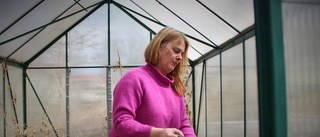 Läraren Annas satsning i sommar – öppnar trädgårdskafé