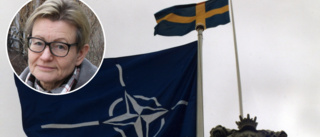 S på Gotland diskuterar Nato • "Jag är inte säker på att vårt svar blir ett tydligt för eller emot"