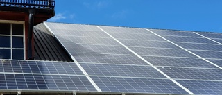 Fler sätter solceller på hustaken • "Vi har märkt en markant ökning" • Försäljningen ökar