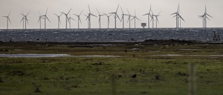 Kräver besked om vindkraftsparker till havs