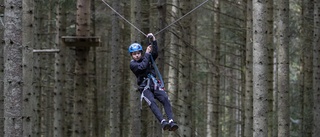 Zipline genom Ombergs bokskog är en riktig adrenalinhöjare – Teståkare Theo: "Betyget blir fem av fem möjliga"