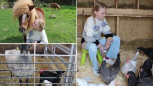 Elvira, 11, har ett 30-tal djur hemma på gården – längtar efter ännu fler • "Jag är sugen på att skaffa både grisar och getter"