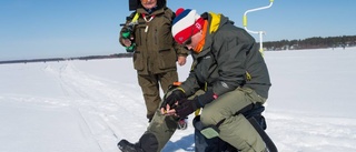 Ingen fiskelycka i Norra hamn