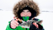 Ojämn fiskelycka på Lulenappet