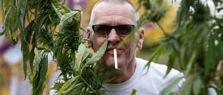 MP på Gotland vill inte legalisera cannabis