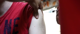 Vaccin är enda sättet att skydda sig mot fästingarna
