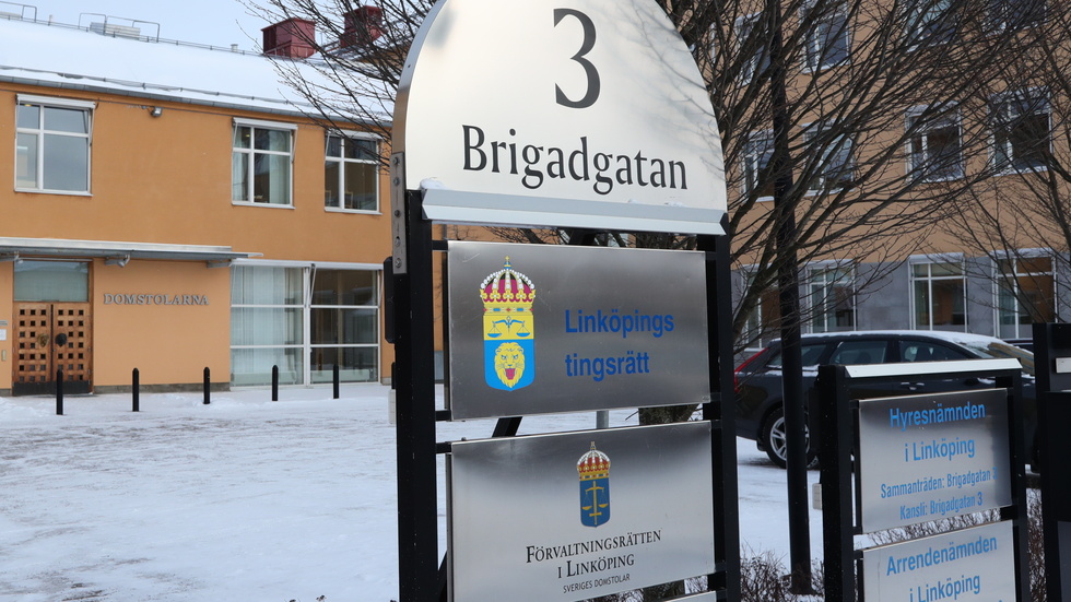 Linköpings tingsrätt har dömt en man som hotat en politiker med en död mus. Arkivbild.