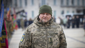 Ukrainas förre ÖB får nytt uppdrag