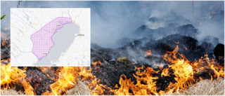 SMHI varnar: Risk för gräsbrand