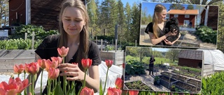 Sofia, 23, har egen tulpanodling – driver självplock