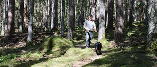 Här kan du vandra i en bevarad urskog – mitt i Östergötland