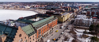 Sex nystartade företag i Luleå – fest, taxi och events
