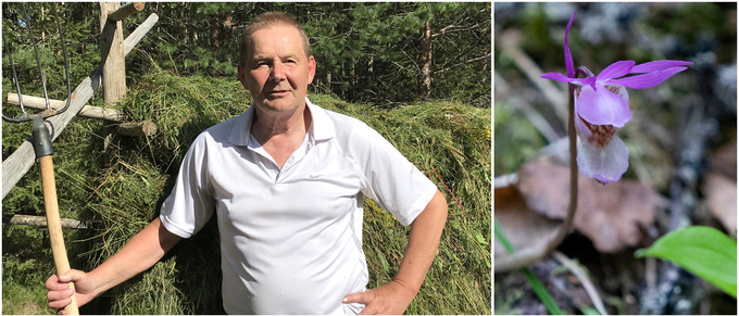 Norrbottens flora: "En stor framgång för Piteåborna"